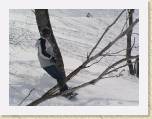 23-03-05-Andy&Nay-AikoSnowboarding-Japan 221 * 2048 x 1536 * (638KB)